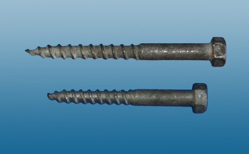 COACH SCREWS